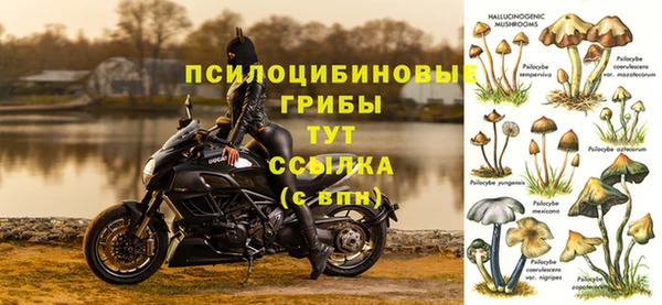 каннабис Беломорск