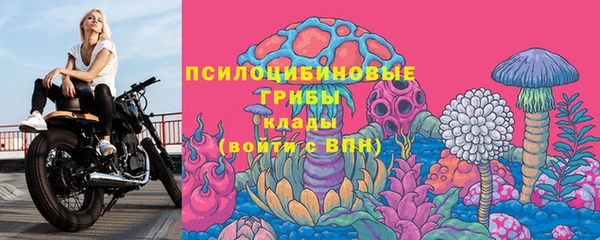 PSILOCYBIN Всеволожск
