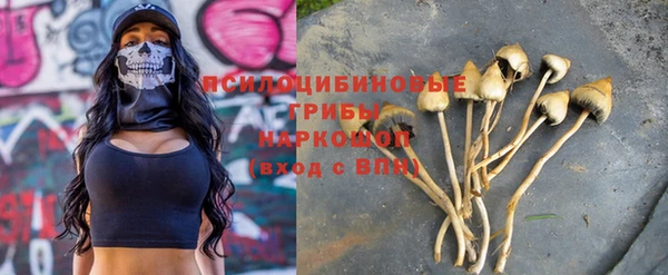 ПСИЛОЦИБИНОВЫЕ ГРИБЫ Белокуриха