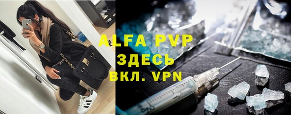 ПСИЛОЦИБИНОВЫЕ ГРИБЫ Белокуриха