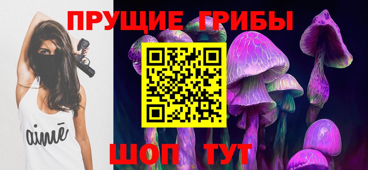 Галлюциногенные грибы Psilocybe Славгород