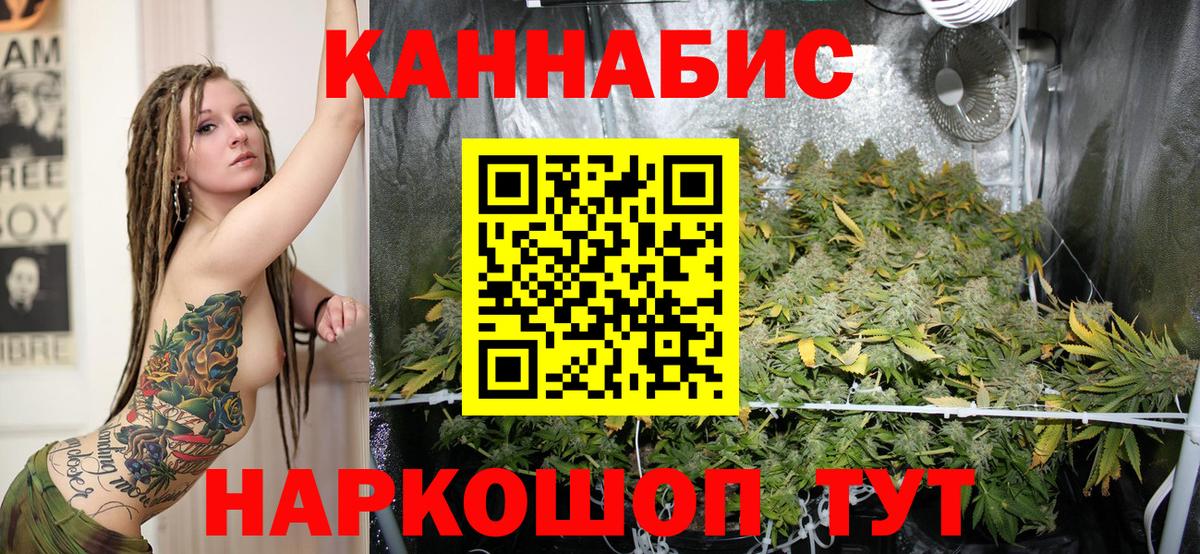 Шишки марихуана сатива Славгород